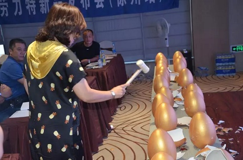 会议精彩图集
